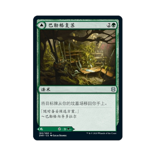 呆呆龙卡牌 万智牌 巴勒格复苏 赞迪卡再起 简中/英文 平/闪