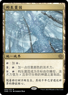 呆呆龙卡牌 万智牌 构生菌园 简中/英文 万界归一 地 金