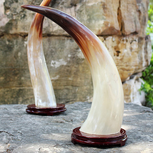 正宗牦牛角客厅办公室工艺摆件