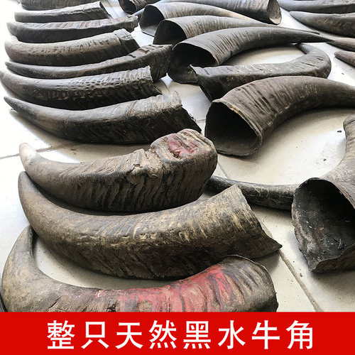 知梳世家黑水牛角装饰摆件