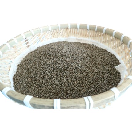 内蒙古土特产天然真野生紫苏籽食用农家采摘生做苏子盐东北正品