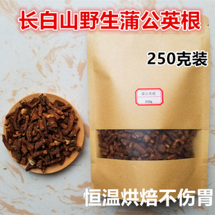 长白山野生蒲公英根茶谷谷丁根婆婆丁根黄花苗根黄花地丁根奶汁草