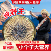 青海正品 祁连头期非西藏那曲玉树冬虫夏草自己吃非断草产地礼盒装