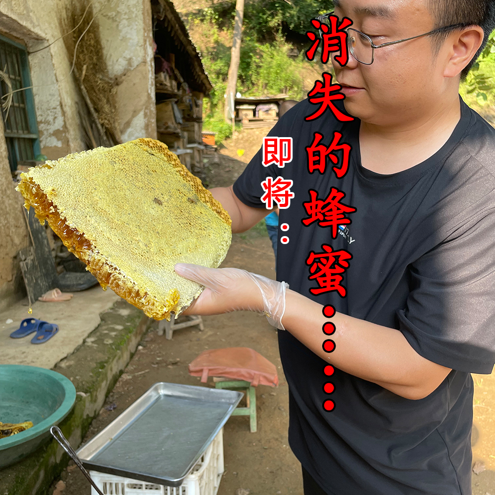 秦岭兄弟家正宗野生蜂巢蜜嚼着吃野生土蜂蜜天然木桶蜜棒棒桶传统
