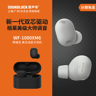 Sony/索尼WF-1000XM6降噪豆六代超旗舰真无线蓝牙耳机 圆声带行货