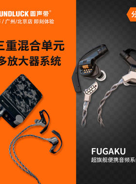 Brise超旗舰便携HiFi入耳机系统