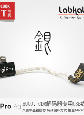 Labkable乐机宝DigiPro单晶银typeC数字OTG信号线Hugo2圆声带行货