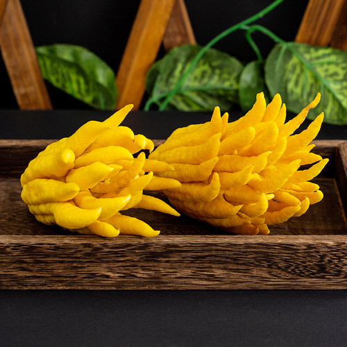 坏果包赔现摘佛手柑新鲜佛手果观赏闻香插花水培清供车载香薰