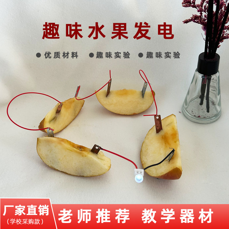 科技小制作DIY自制水果电池发电实验 锌铜片土豆物理材料材料包