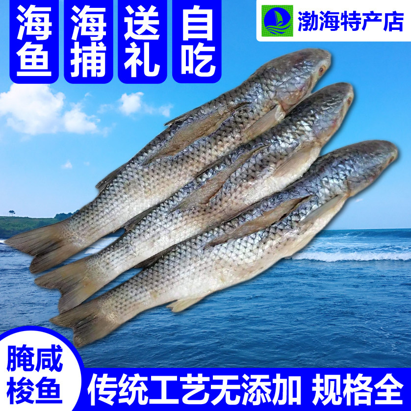 老式渤海湾咸梭鱼礼盒装新鲜特大号海鱼一整箱自腌水产干货红眼梭