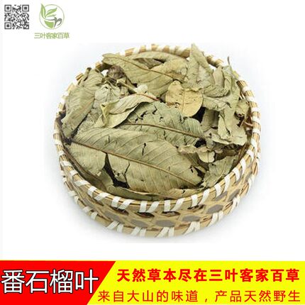 野生正品番石榴叶 番石榴叶茶 干茶芭乐叶 农家500g
