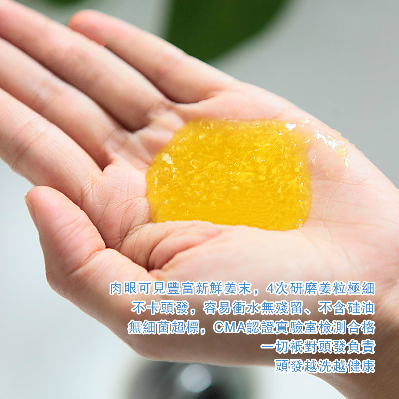 【12年老店 专注高品质】姜大姐高原姜蓉洗发水控油去屑蓬松强韧