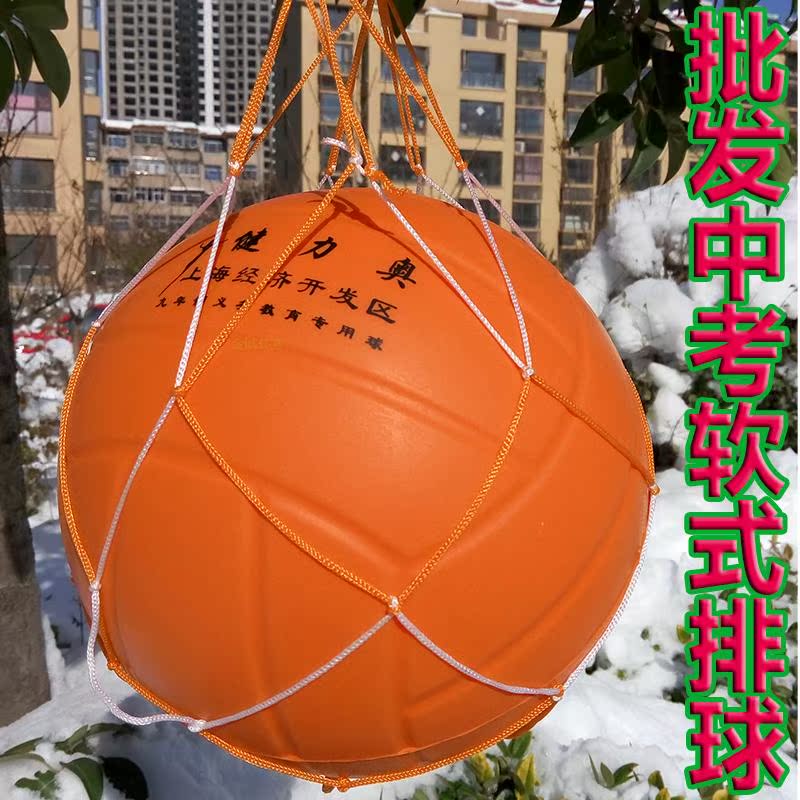 Ballon de volley-ball - Ref 2008583 Image 1