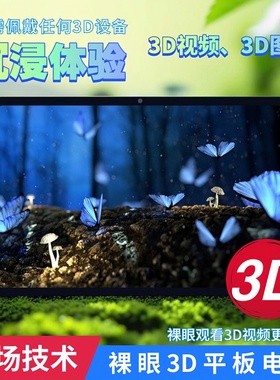 12.1英寸裸眼3D平板电脑12GB+512GB实时2D转3D功能3D视频图片播放