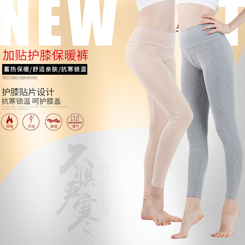 纯棉厚款护膝秋裤女单件厚款紧身保暖裤
