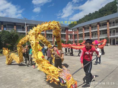 儿童舞龙学生舞龙儿童烫金龙