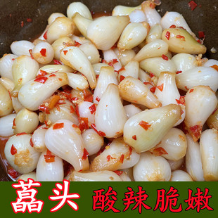 江西酸辣荞头嫩荞头小米椒新鲜腌制酸脆开胃爽口下饭酱泡菜腌茭头