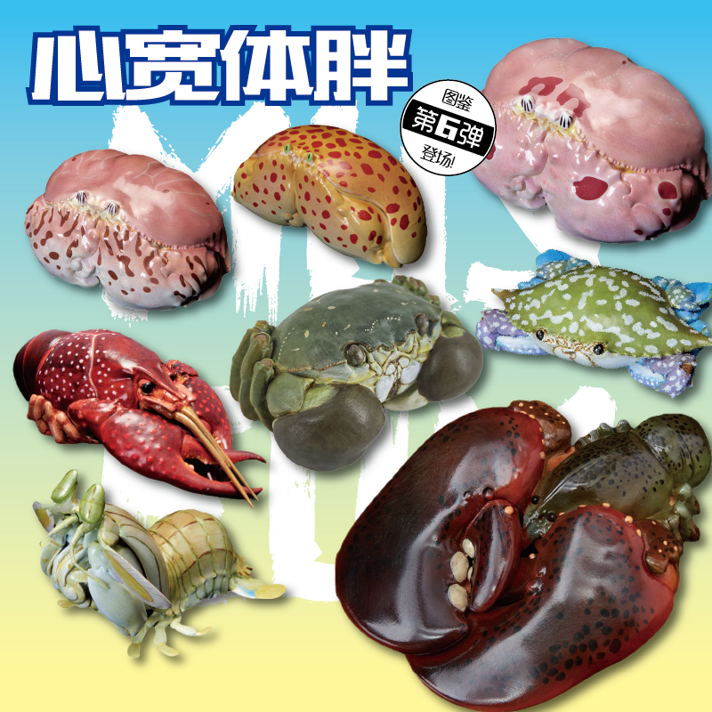 动物星球心宽体胖第6弹 大闸蟹 小龙虾面包螃蟹 皮皮虾姑鳌虾海鲜