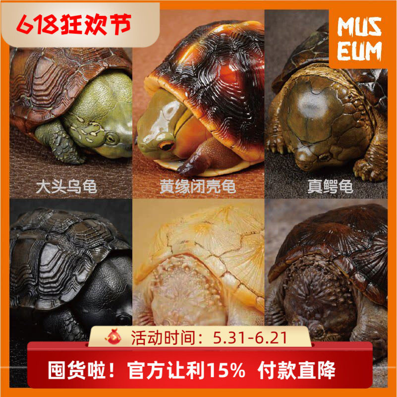 动物星球心宽体胖苏卡达黄缘佛大鳄树脂手办乌龟模型仿真玩具摆件