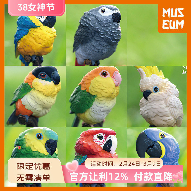 动物星球心宽体胖第18弹非洲灰葵花紫蓝金刚鹦鹉凯克鹦哥树脂模型