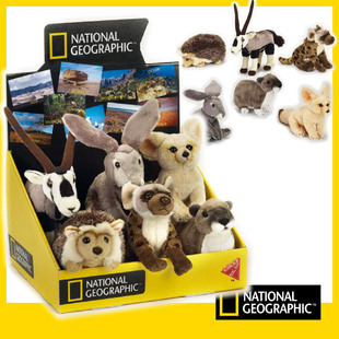 leosco国家地理沙漠动物毛绒玩具 刺猬棉兔蹄兔斑 鬣狗耳廓狐剑羚