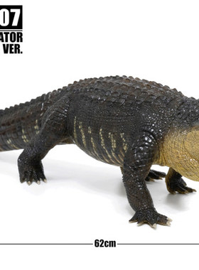 REBOR美洲短吻鳄 GNG尼日尔龙幼崽动物儿童模型玩具收藏摆件 场景