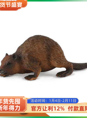 英国CollectA我你他 草原系列模型玩具 河狸88382