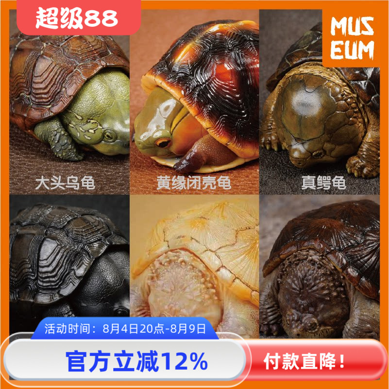 动物星球心宽体胖佛大黄缘墨龟