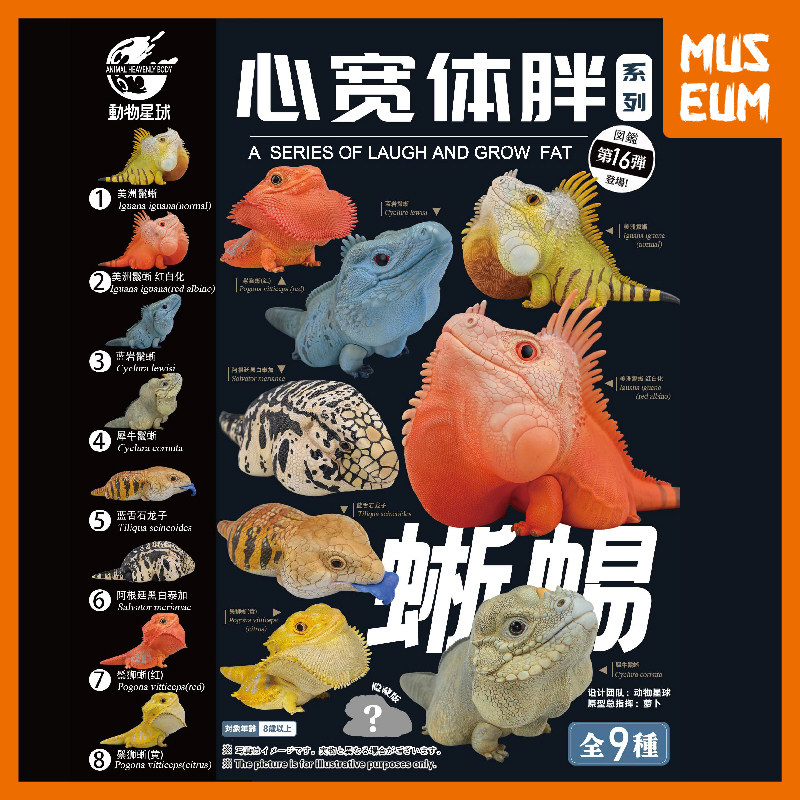 动物星球心宽体胖第16弹 蜥蜴鬣蜥鬃狮蜥蓝舌石龙子泰加树脂模型