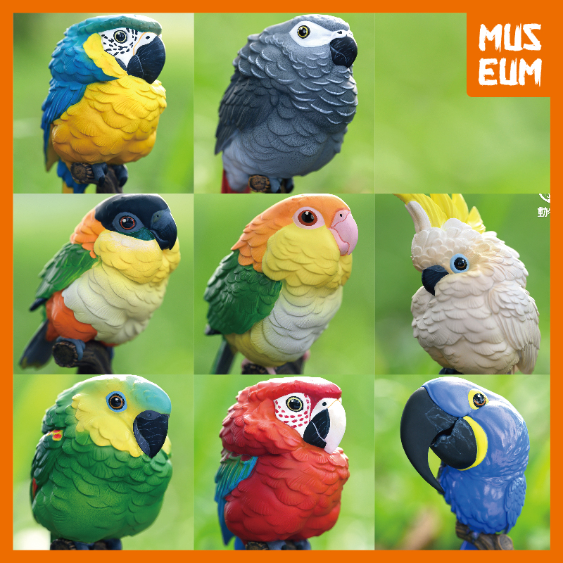 模型动物星球树脂鹦鹉