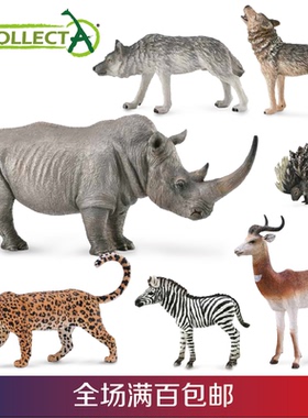 CollectA野生动物狼斑马白犀牛箭猪苍羚非洲豹长颈鹿塑料静态模型