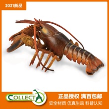 CollectA海洋生物模型玩具 麻辣小龙虾盱眙波士顿龙虾小88920