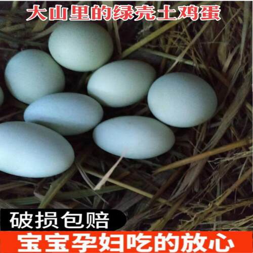 散养绿壳土鸡蛋散养土鸡蛋乌鸡蛋新鲜蛋月子蛋五黑鸡