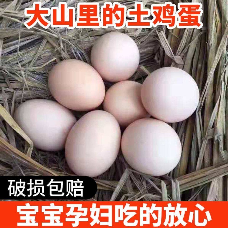 正宗散养土鸡蛋农家山林散养新鲜放养鸡蛋农村土鸡蛋福建永春发货