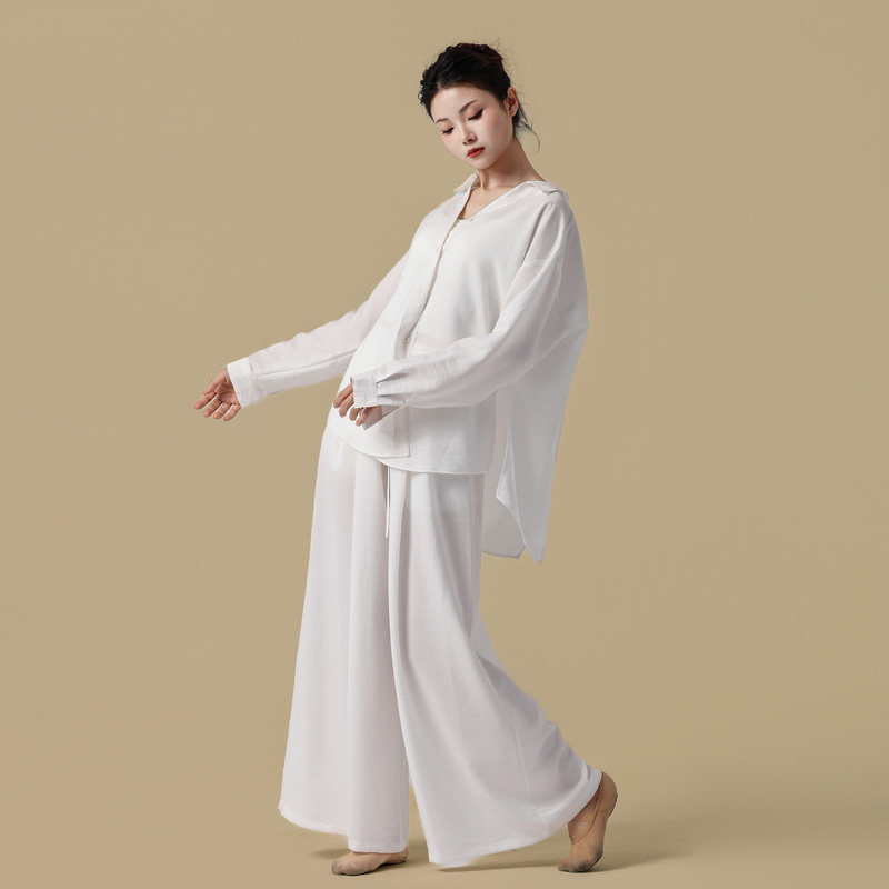一城一舞现代舞蹈服衬衫阔腿裤图片