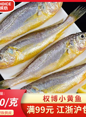 小黄鱼500g新鲜海捕烧烤小黄鱼