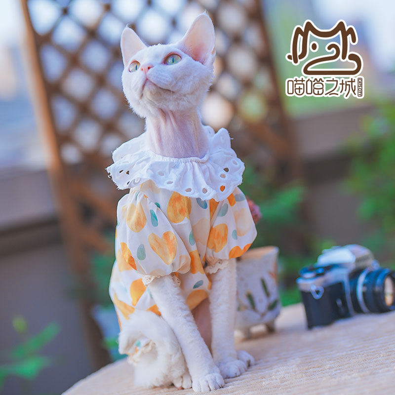 24年夏季德文宠物猫咪衣服小清新爱心公主风蕾丝圆领纯棉布连衣裙
