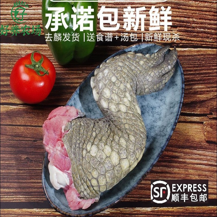 新鲜鳄鱼腿 带皮肉 现杀鳄鱼肉 人工养殖鳄鱼 新鲜肉类 食用鳄鱼