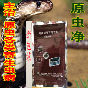 原虫净养殖技术养殖服务