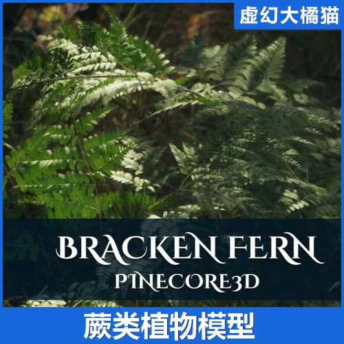 UE5.3+ Bracken Fern 蕨类植物模型 Foliage 高精度植物3D素材