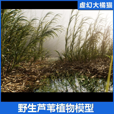 UE5 Nanite Reed Vol.1 芦苇植物模型灌木草丛水坑沼泽湿地影视级