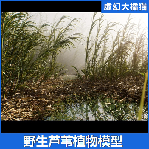UE5 Nanite Reed Vol.1 芦苇植物模型灌木草丛水坑沼泽湿地影视级