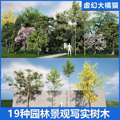 UE5虚幻5 Landscaping Medium Trees 3 园林景观设计写实树木松树
