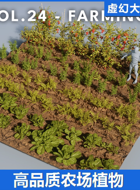 UE5虚幻5 Foliage VOL.24 - Farming Plants (Low Poly) 农场植物