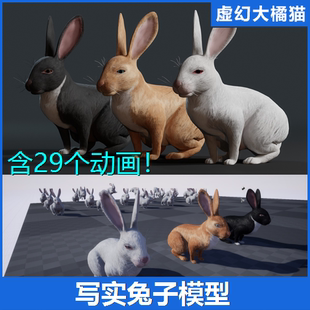 UE5虚幻4 Realistic Rabbit 写实兔子模型 白兔黑兔家兔 3D素材