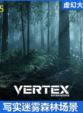 UE4UE5 The Forest 写实迷雾森林场景 绿色植物树木河流石头蕨类