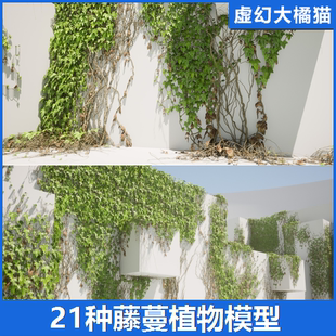 Nanite Pack 藤蔓绿色植物模型爬山虎室外建筑末日 Ivy UE5虚幻5