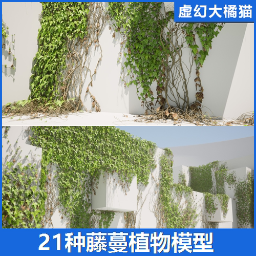 UE5虚幻5 Ivy Pack Nanite 藤蔓绿色植物模型爬山虎室外建筑末日