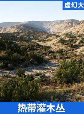 UE5虚幻5 MW Shrubs and Bushes 写实灌木从草地植物石头场景热带