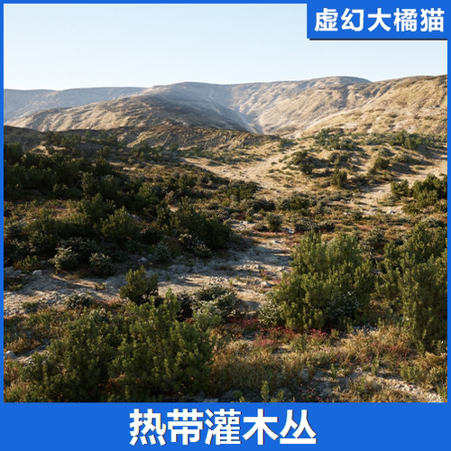 UE5虚幻5 MW Shrubs and Bushes 写实灌木从草地植物石头场景热带